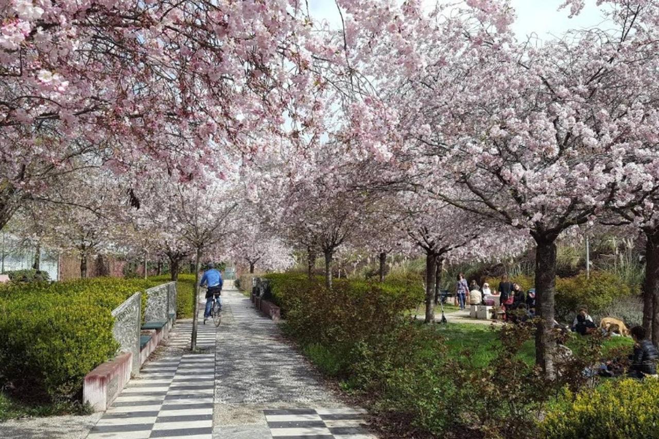 Fiera Milanocity View With Terrace Next To Shopping Mall 아파트 외부 사진